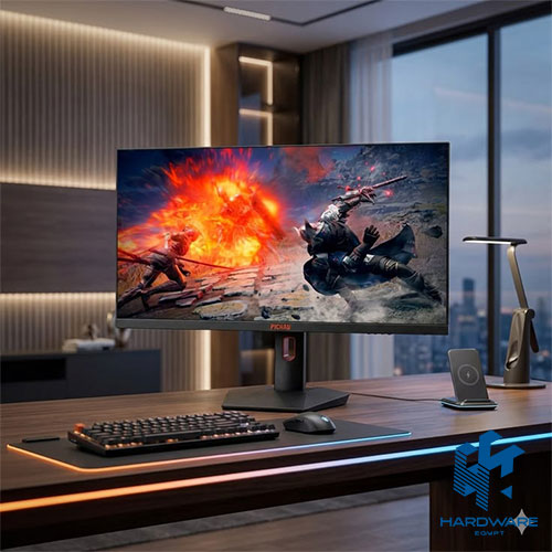 Best Gaming Monitors